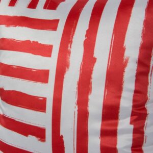 Ψηφιακή εκτύπωση σε  μαξιλάρι